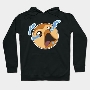 Panic cry hooty Hoodie